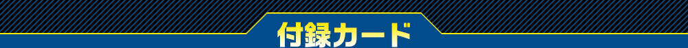付録カード
